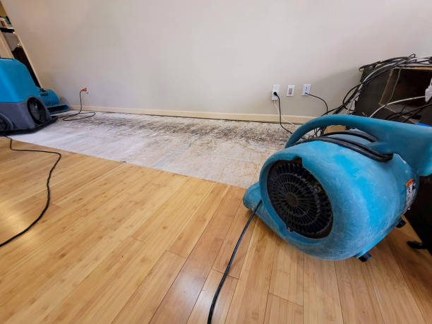 Professional Water Extraction technician working in Monte Rio, CA
